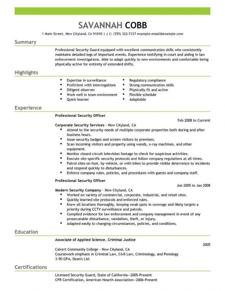 Professional Security Officer Resume Examples Safety Security Officer Job Description Template 