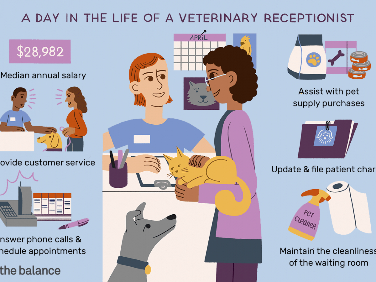 Veterinary Receptionist Job Description Salary & More Veterinary ...