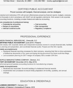 Financial Accountant Job Description Template   Editable Financial Accountant Job Description Template Pdf 250x300 