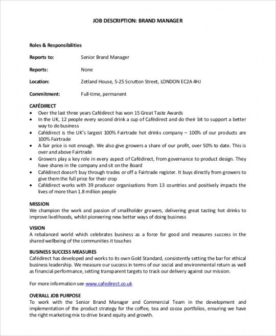 Professional Practice Manager Job Description Template Excel Example