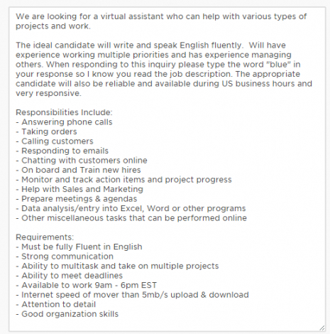 free how to do successful virtual assistant hiring virtual assistant job description template pdf