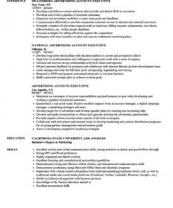 accounting executive resume template  mt home arts executive director job description template