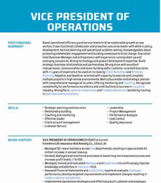 Vice President Of Business Operations Resume Example Vice President Of Operations Job 2871