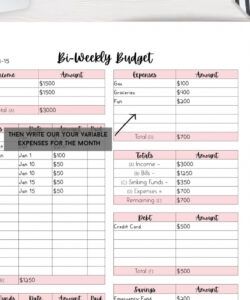 editable biweekly budget printable editable pdf budget planner  etsy biweekly pay budget template excel