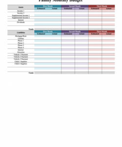 editable family monthly budget planner template  colorful family monthly budget planner template example