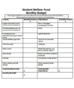 editable free 8 student budget forms in pdf  ms word college student parents budget template pdf