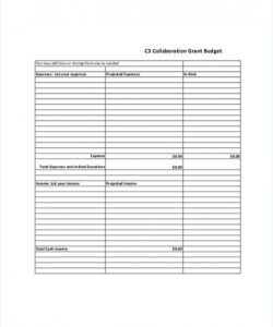 editable grant budget template simple grant project budget template sample