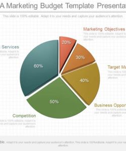 editable one preparing a marketing budget template presentation cam budget presentation template powerpoint example