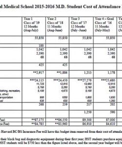 editable school budget template  will work template business grant application project budget template example