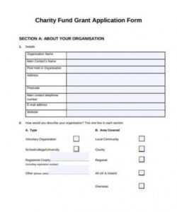 printable 9 charity grant application templates in pdf  free template for project budget for grant application pdf