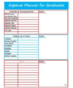 printable salt budget worksheet  free budgeting worksheets budget template for college graduate doc