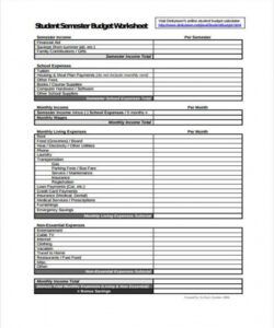 sample 11 student budget templates  free sample example budget template for college students example