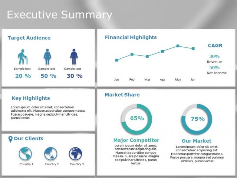 sample executive summary powerpoint template 24  executive budget presentation powerpoint template excel