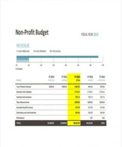 budget template nonprofit understanding the background of operating budget nonprofit budget template word