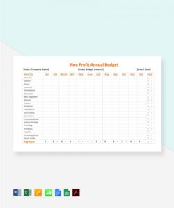 sample 10 nonprofit budget templates  sample example format operating budget nonprofit budget template