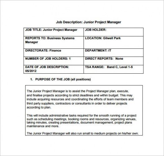 Free 9 Project Manager Job Description Templates Free Technical Product 