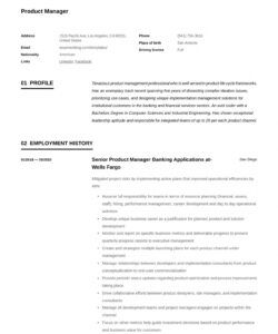 product manager resume &amp;amp; guide   12 samples  pdf  2020 technical product manager job description template and sample