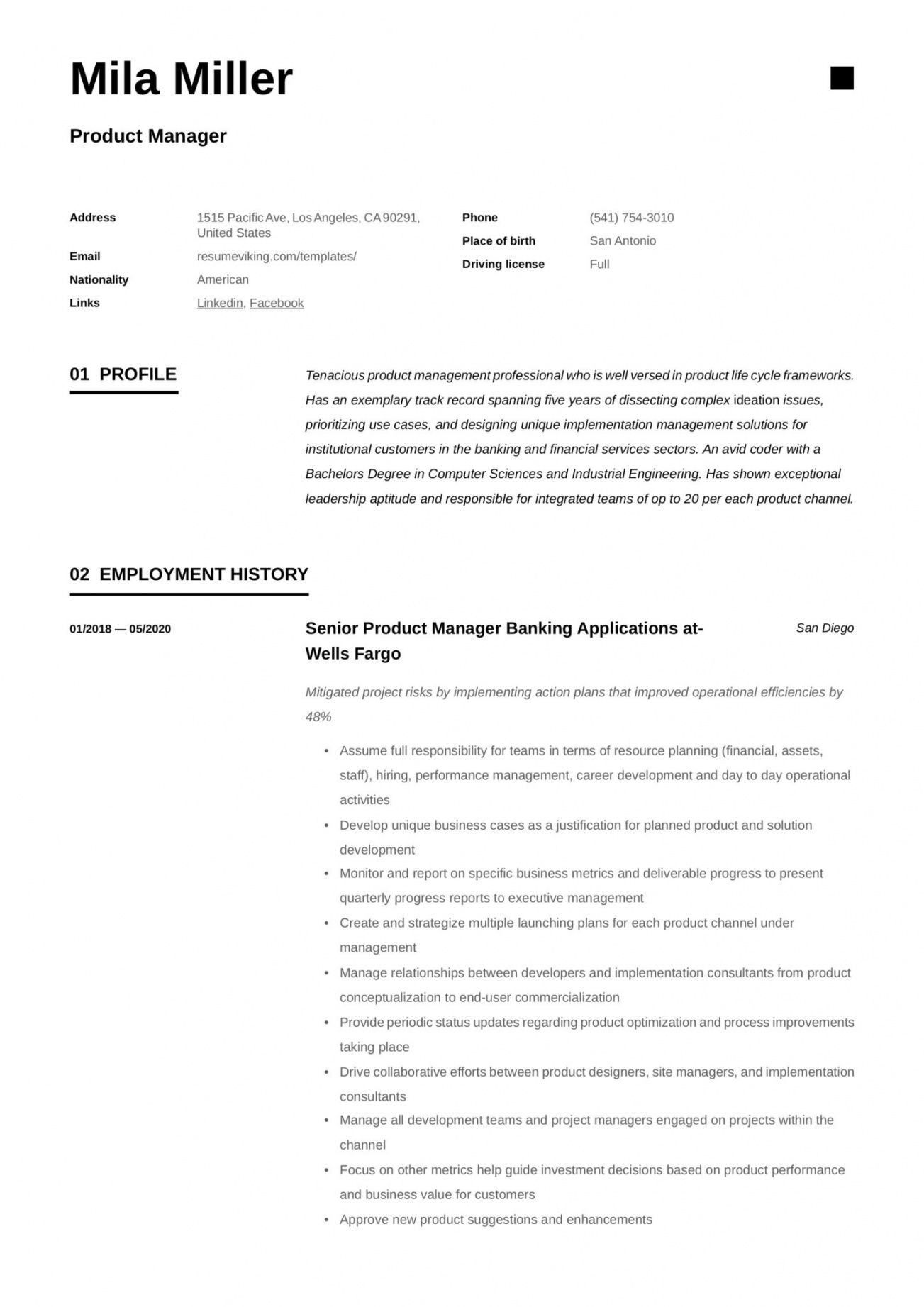 product manager resume &amp; guide   12 samples  pdf  2020 technical product manager job description template and sample