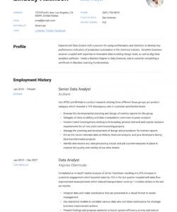 data analyst resume &amp;amp; writing guide  19 examples  word data analyst job description template
