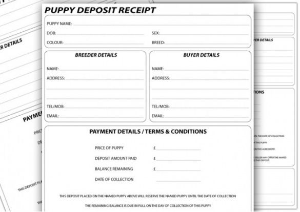 free puppy forms deposit receipts x10  pedigree forms dog deposit template