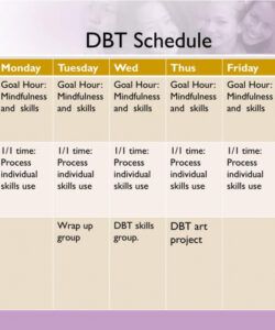 editable ppt  dialectical behavioral therapy with adolescents in a community behavior chain analysis template example