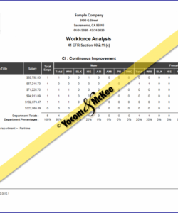 the complete aap™ affirmative action reports aap workforce analysis template