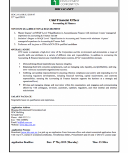 chief financial officer roles and responsibilities  free 9 chief investment officer job description template doc