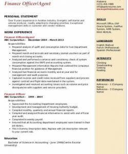 finance officer job description chief financial officer job description template pdf