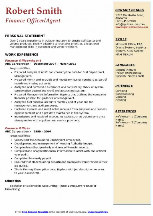 finance officer job description chief financial officer job description template pdf