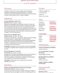 free account manager resume sample 2021  resumekraft e-commerce job description template