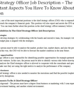 free chief strategy officer job description  the important aspects you have chief financial officer job description template