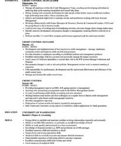 free credit control resume samples  velvet jobs credit manager job description template pdf