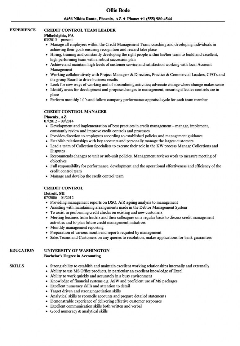 free credit control resume samples  velvet jobs credit manager job description template pdf