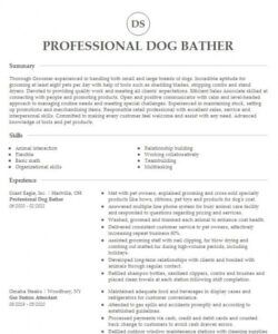 free dog bather resume example company name  lynnwood washington dog groomer job description template