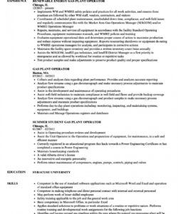 free gas plant operator resume samples  velvet jobs plant manager job description template