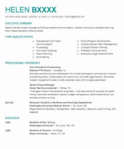 free vice president of fundraising resume example company name vice president job description template and sample