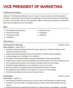 free vice president of marketing resume example alpha phi sorority beta vice president job description template doc