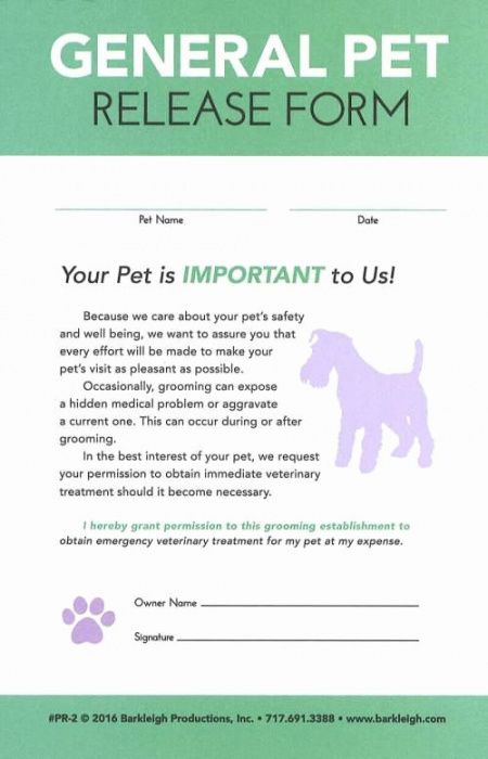 pet report card template  peterainsworth dog groomer job description template