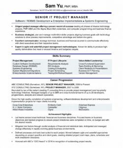 free experienced it project manager resume sample monster project programme manager job description template and sample