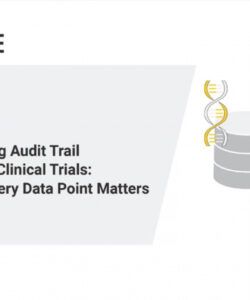 free streamlining audit trail reviews in clinical trials  because every data point matters  youtube audit trail review checklist template samples