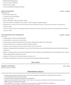 Custom Stock Controller Job Description Template Word