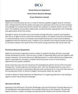 Blank Non Executive Director Job Description Template Word Sample